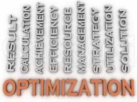 3d image Optimization issues concept word cloud background