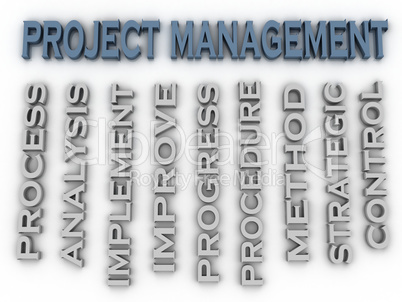 3d image Project management issues concept word cloud background