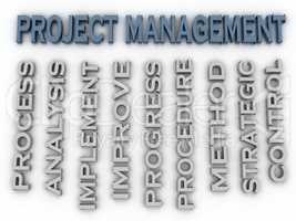 3d image Project management issues concept word cloud background