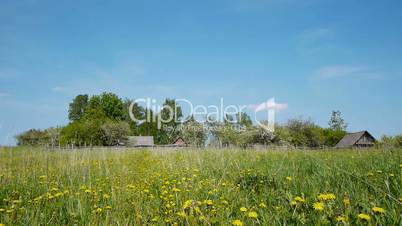 Countryside landscape