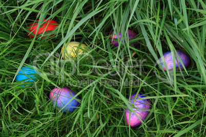 Easter Eggs Hunting