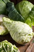 young cabbage