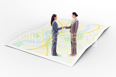 Composite image of two businesswomen shaking hands