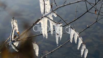 Icicles melting at a lake in winter