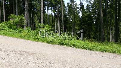 Hiker runs hill down