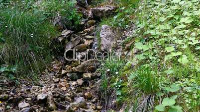 Small brook in the Bavarian Alps in summer