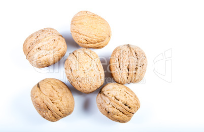 Walnuts on a white background .