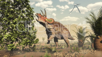 Triceratops eating at magnolia tree - 3D render