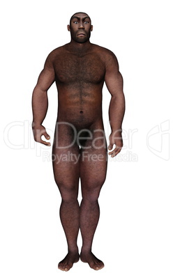 Male homo erectus standing - 3D render