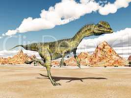 Dinosaurier Dilophosaurus