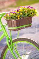 Fahrrad mit Blumenkasten