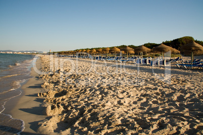 Sonnenliegen am Strand von Alcudia auf Mallorca