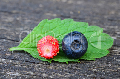 Blueberry and wild strawberry
