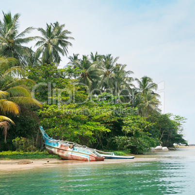 lake, tropical palms and  boat