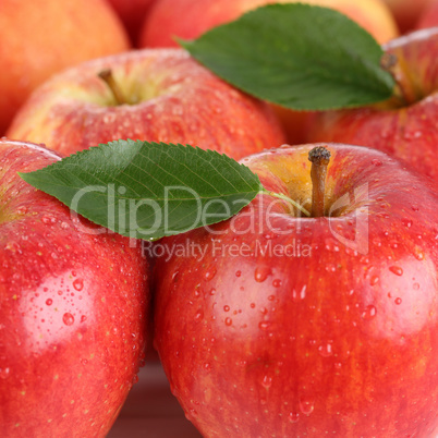 Rote Apfel Früchte mit Blatt