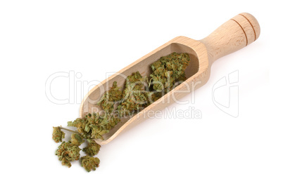 Medizinischer Cannabis