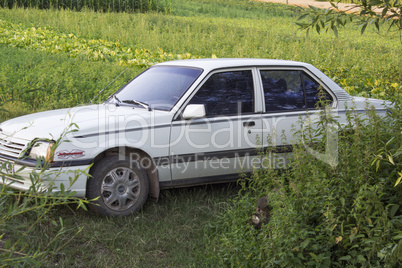 White car on green background