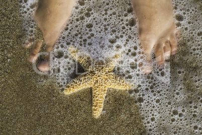 Starfish and feet on the beach