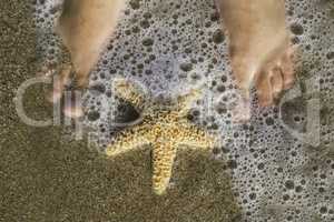 Starfish and feet on the beach