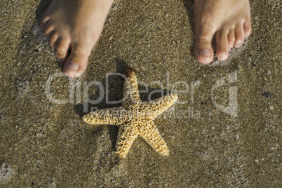 Starfish and feet on the beach