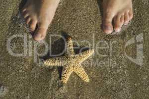 Starfish and feet on the beach