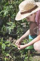 Child planting plans in a garden