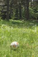 Ball in the mountain meadow