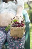 Woman picking cherries in the garden
