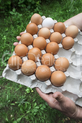 Eggs in paper packaging.