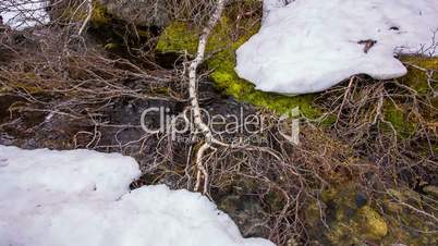 Stream from the glacier