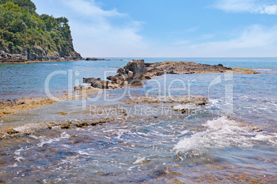 scenic sea shore and blue sky