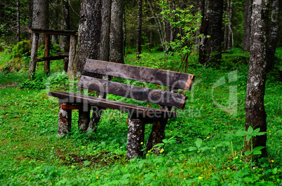 holzbank im wald