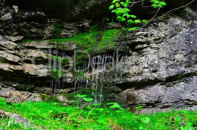 tropfendes moos und felsen