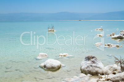 Beautiful coast of the Dead Sea .