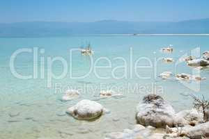 Beautiful coast of the Dead Sea .