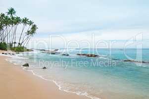 ocean and coconut palms on the shore