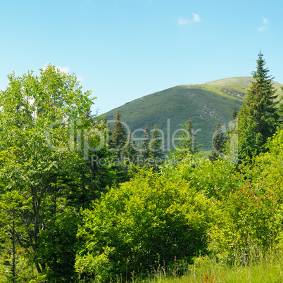 mountain peaks against the blue sky