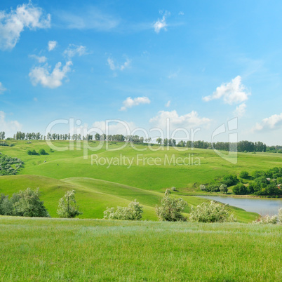 picturesque green field and blue sky