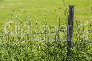 Holzpfahl mit Zaun an Wiese