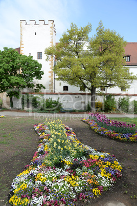 Blumen am Zeughaus in Amberg