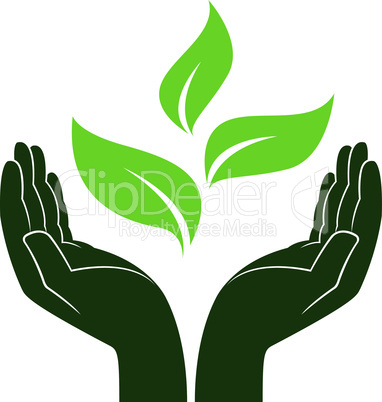 Green plant in human hands
