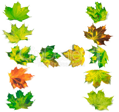 Letter H composed of multicolor maple leafs