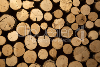 Closeup of stacked firewood