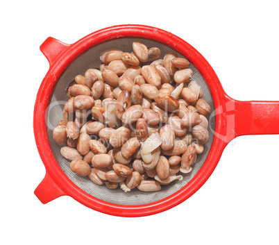 Borlotti beans vegetables isolated