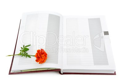 Book and flower isolated on white background