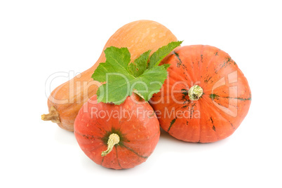 ripe pumpkin isolated on white background