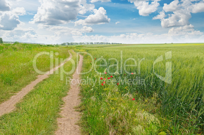 field, country road and a blue sky