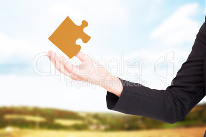 Composite image of businesswomans arm presenting