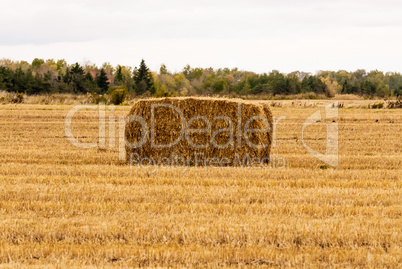 Single yellow hay bale in empty field