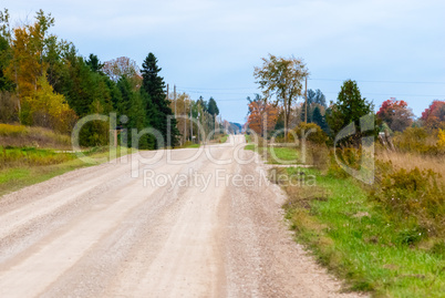 Empty rural country dirt road and shrubs